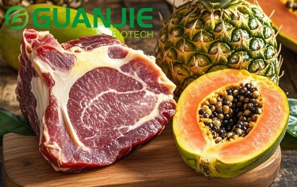 Papain enzyme powder and bromelain enzyme powder Papain enzyme powder and bromelain enzyme powder