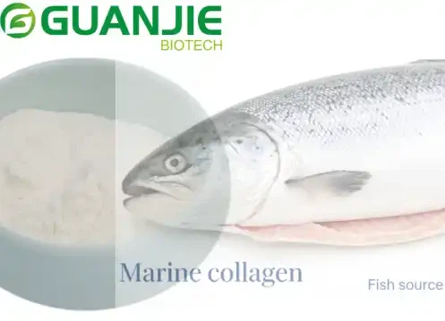 Hydrolyzed Collagen From Fish Hydrolyzed Collagen From Fish