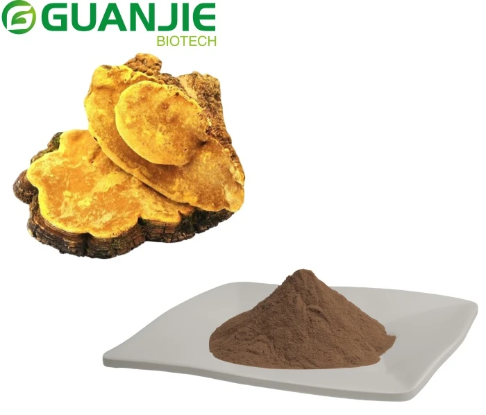Phellinus Linteus Mushroom Extracts Powder